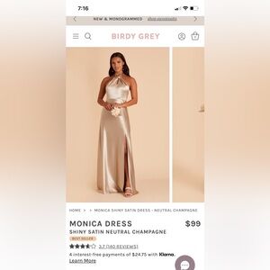 Birdy Grey Monica Shiny Satin Dress in Neutral Champagne